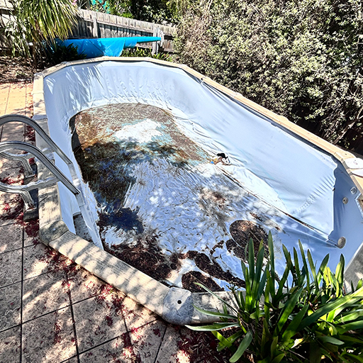 Viewbank pool before